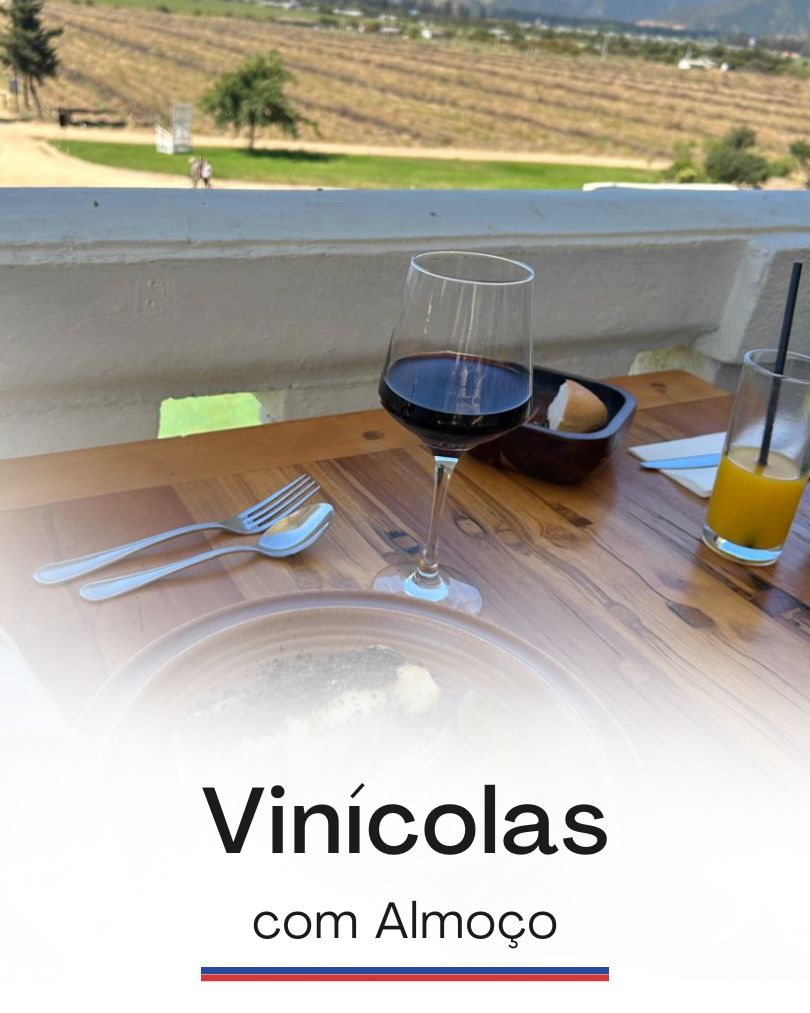 4 vinícolas com almoço